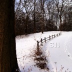 FOOTPRINTSINTHESNOW(PUBLIC)
