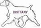 brittany_picnik