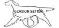gordonsetter