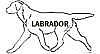 lab_picnik