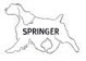 SPRINGER