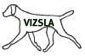 VIZSLA