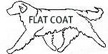 flatcoat_picnik
