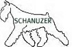 miniatureschnauzer