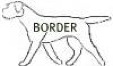 border terrier