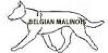malinois