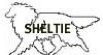 sheltie