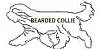 bearded collie
