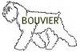 bouvier