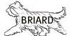 briard