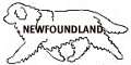 newfie