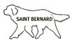 SAINT BERNARD
