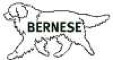 bernese