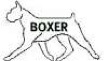 boxer