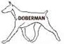 doberman