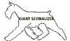 giant schanuzer
