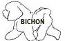 bichon