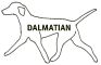 DALMATIAN