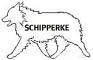schipperke