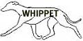 whippet