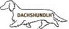 dachshundlh
