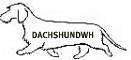 dachshundwh