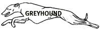 greyhound-run2
