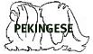 pekingese