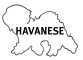 HAVENESE